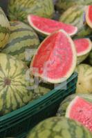 MI20_Melone01_0172.JPG