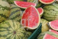 MI20_Melone02_0169.JPG