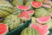 MI20_Melone04_0166.JPG
