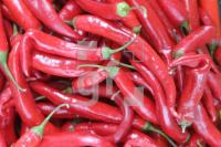 MI20_Peperoni02_0103.JPG