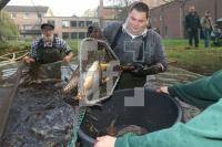ML29_Karpfen06_0107.JPG