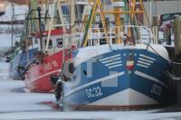 ND02_Husum10_0146.JPG