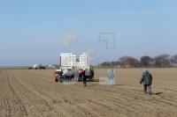 NE28_Kohl06_0125.JPG