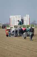 NE28_Kohl10_0105.JPG