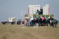 NE28_Kohl11_0115.JPG