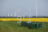 NG22_Fehmarn08_0109.JPG