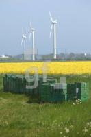 NG22_Fehmarn09_0113.JPG