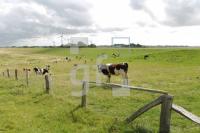 NJ08_Nords05_0156.JPG