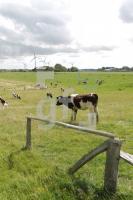 NJ08_Nords06_0159.JPG