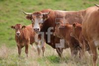 NJ17_Schierensee50_0177.JPG
