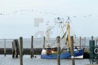 NL12_NF21_0145.JPG