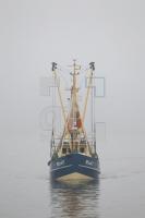 NL24_Fisch04_0142.JPG