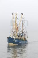 NL24_Fisch05_0165.JPG