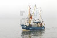 NL24_Fisch06_0173.JPG