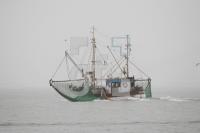 NL24_Fisch07_0197.JPG
