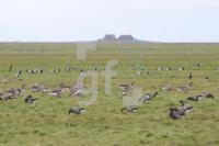 NL24_Hooge34_0104.JPG