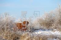 NN12_Winter12_0176.jpg