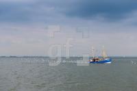 OG28_Oland22_1300.jpg