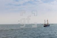 OG28_Oland23_1300.jpg