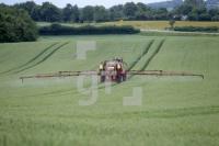 OH25_Spritz01_0138.JPG