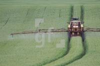 OH25_Spritz02_0139.JPG