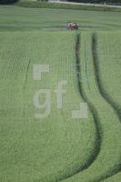 OH25_Spritz03_0148.JPG