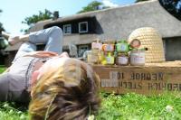 OI11_Honig09_0101.JPG