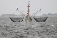 OJ06_Fisch09_0157.JPG
