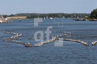 OJ25_Kappeln20_0195.JPG