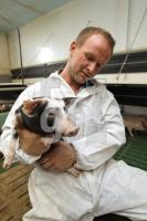 OK20_Schwein09_0174.JPG