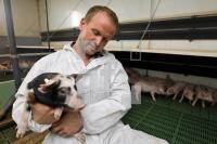 OK20_Schwein11_0167.JPG