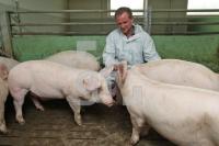 OK20_Schwein16_0139.JPG