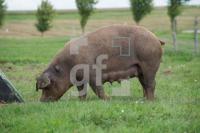 OK21_No07_0720.jpg