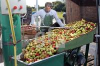 OK30_Apfel13_0176.JPG