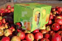 OK30_Apfel17_0102.JPG