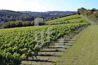 OK30_Wein03_0185.JPG