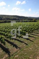 OK30_Wein04_0197.JPG