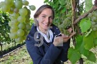 OK30_Wein06_0125.JPG