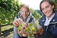OK30_Wein07_0135.JPG