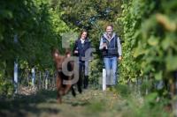 OK30_Wein21_0178.JPG