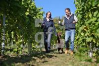 OK30_Wein22_0197.JPG