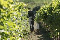 OK30_Wein28_0178.JPG