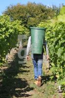 OK30_Wein30_0194.JPG