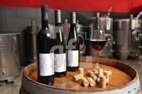 OK30_Wein40_0133.JPG