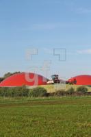 OL03_Biogas07_0155.JPG