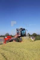 OL03_Biogas98_0141.JPG