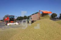 OL03_Biogas99_0195.JPG