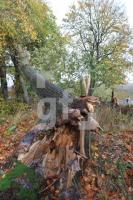 OL30_Orkan08_0100.JPG