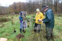 OM04_Baum02_0119.jpg