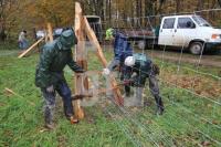 OM04_Baum16_0132.JPG